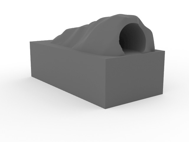 underground tunnel token
